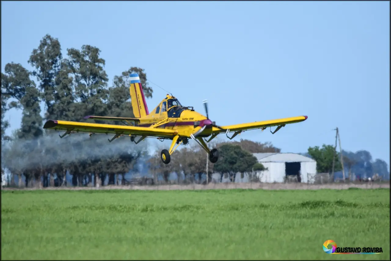 Avion Turbo Kruk